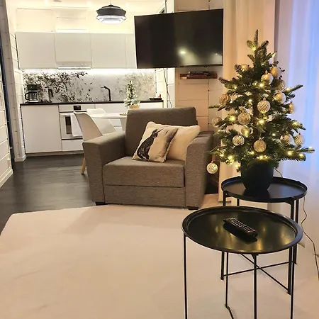 Suutarintie - Authentic Lappish Experience By The River Appartamento Rovaniemi