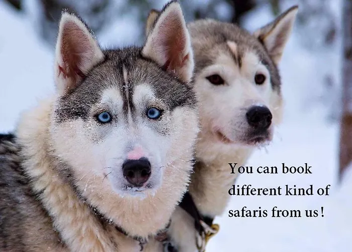 Apartament Suutarintie - Authentic Lappish Experience By The River Rovaniemi